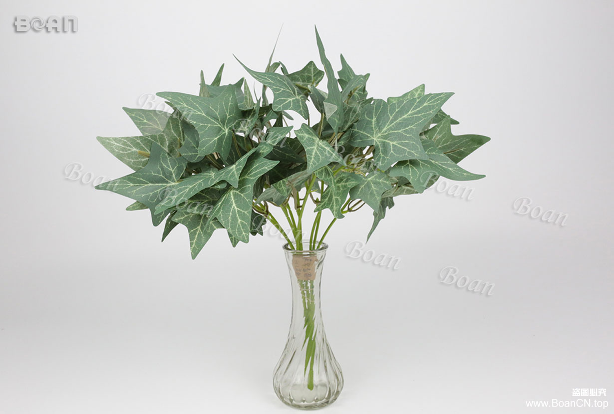Ivy leaves bundle(YCCT01-1)