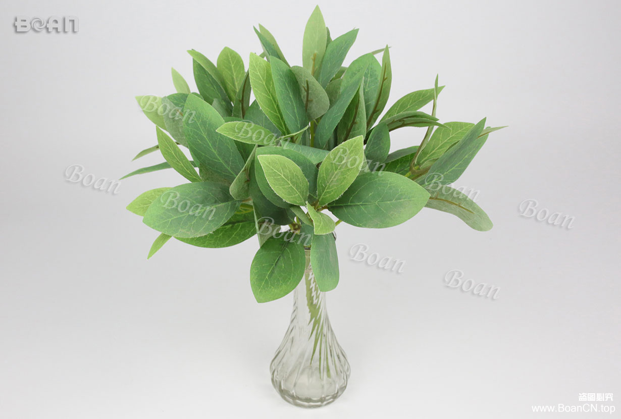 azalea/rhododendron leaves bundle(YDJ01-1)