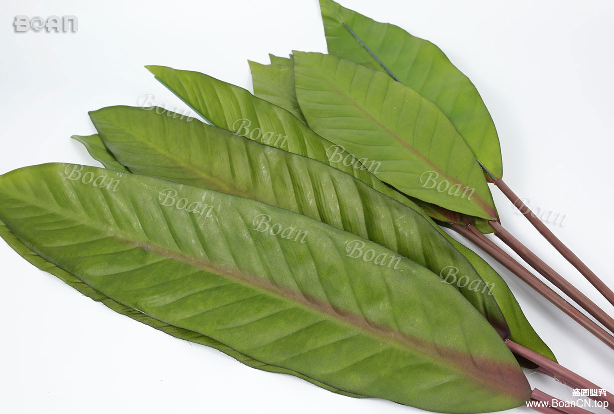 banana leaf(YBJ01-1J,YBJ02-1J)